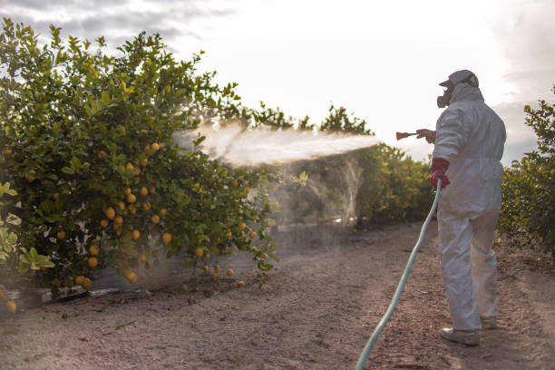 Best Insect Control  in Agency Village, SD