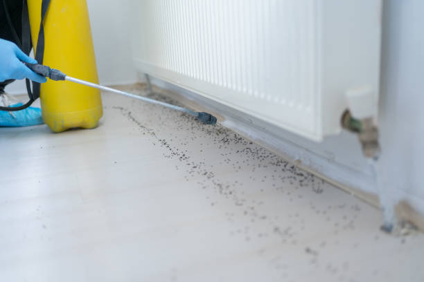 Best Pest Prevention Services  in Agency Village, SD